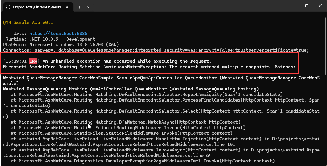 Ambigous Route Exception