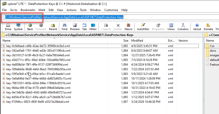 Service Profile Local App Data Folder